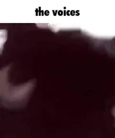 They are calling