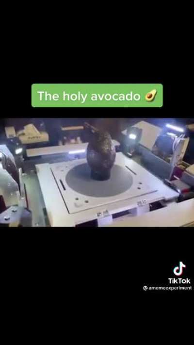 The Holy Avocado