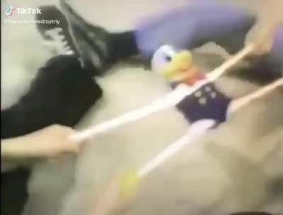 Donald Duck meets Genghis Khan