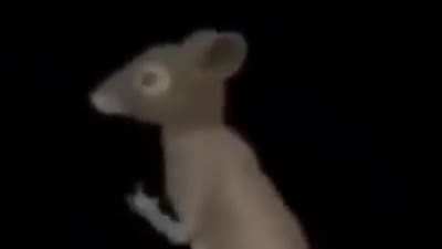 si