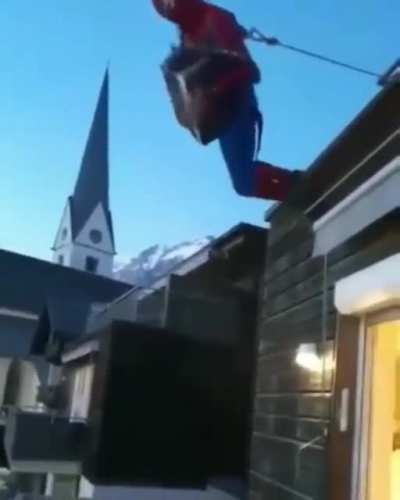 moldyman 🕷️