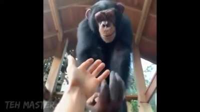 Monke