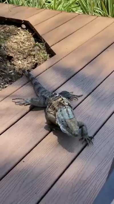 &ldquo;Sup&rdquo;