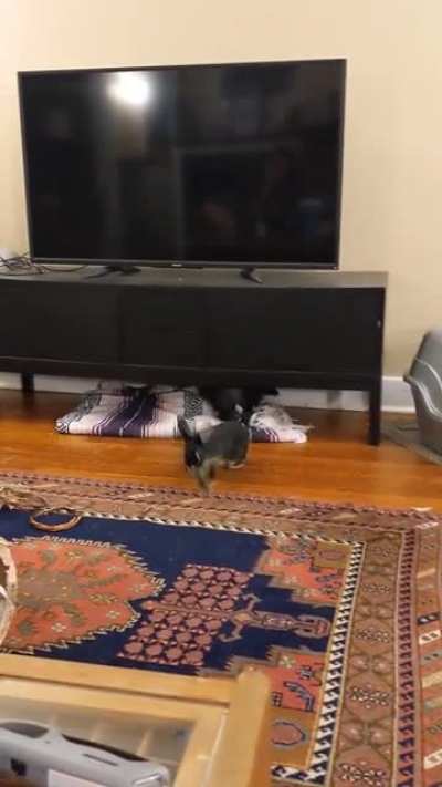 I could watch this all day!