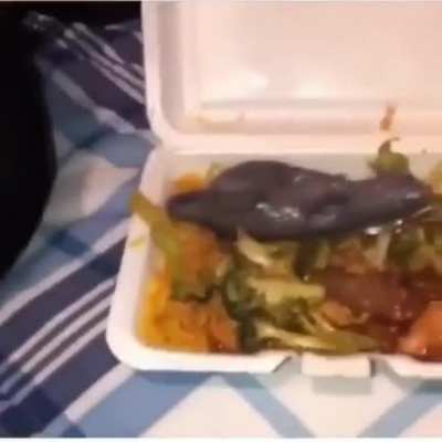 Rat