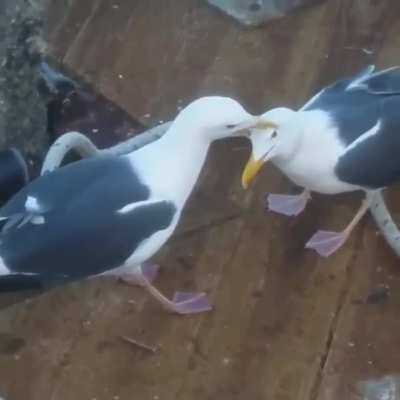 Maybe maybe maybe
