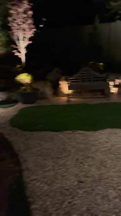 Koi pond at night
