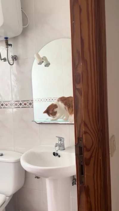 And who's gonna say, "He's got paws."