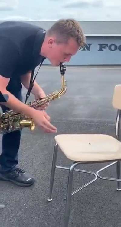 The Insect Serenade