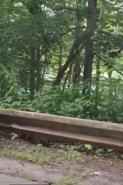 👋