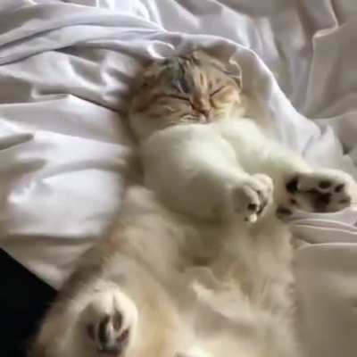 Stretchies