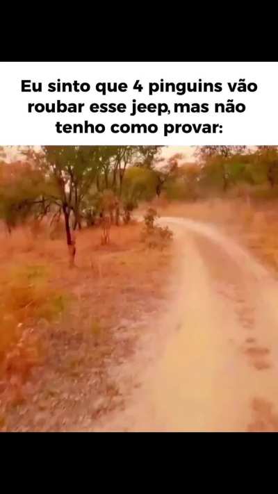 Suspeito
