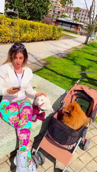 Aprovechando el poco sol.. antes de que llegue la tormenta ⛈️🤭 Bonita semana a todos!