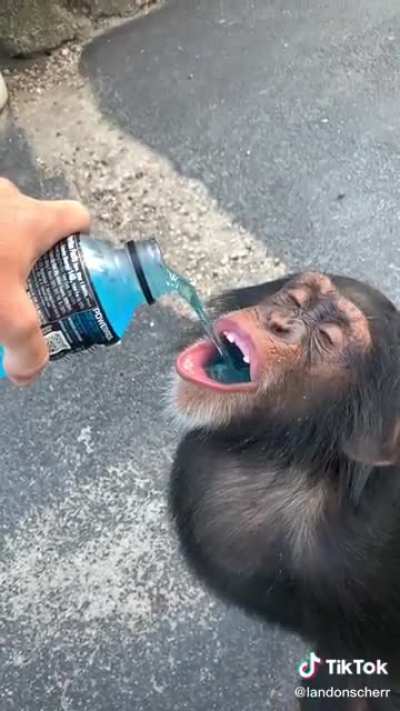 Just a little sip!