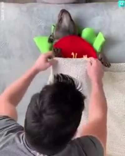 sICk FucK coOKs dOg ANd eAts hIm