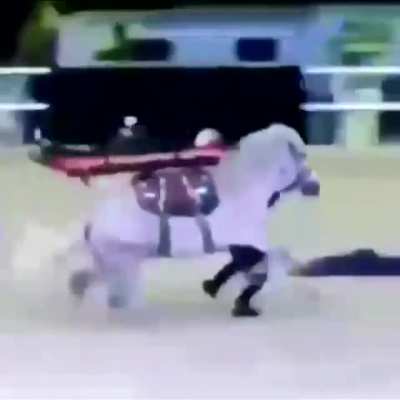 Horsebulance