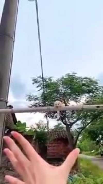 I admit it . I can't stop watching this.