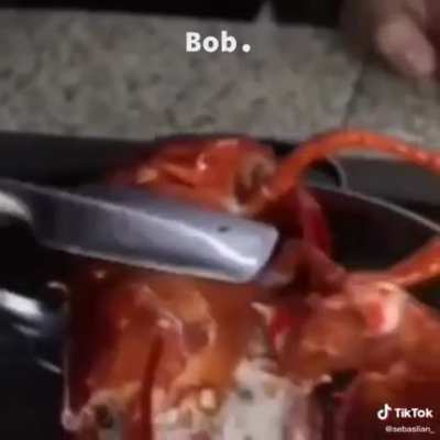 Ya valio el Bob😔