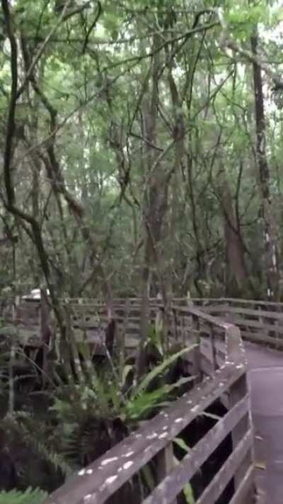 An unforgettable hike!