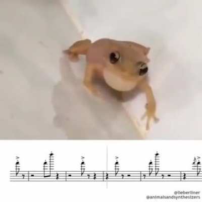Goons frog moment