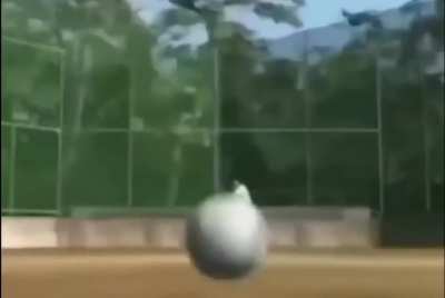 Dont think thats how baseball works