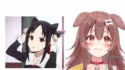 True waifu