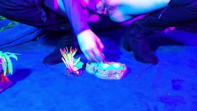 Amethyst: Egg Rescue