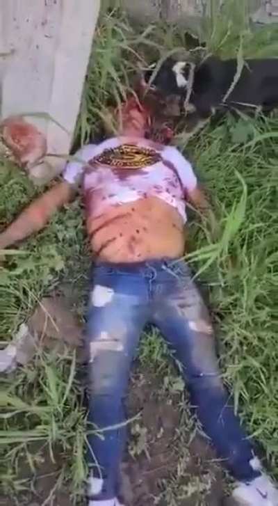 You ever see a dog eating whats left of a dead body? No? me neither hold up here is mexico in Guanajuato. Guy was found shot to the head with a dog eating whats left of him.🤷&zwj;♂️