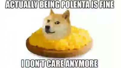 AAAA