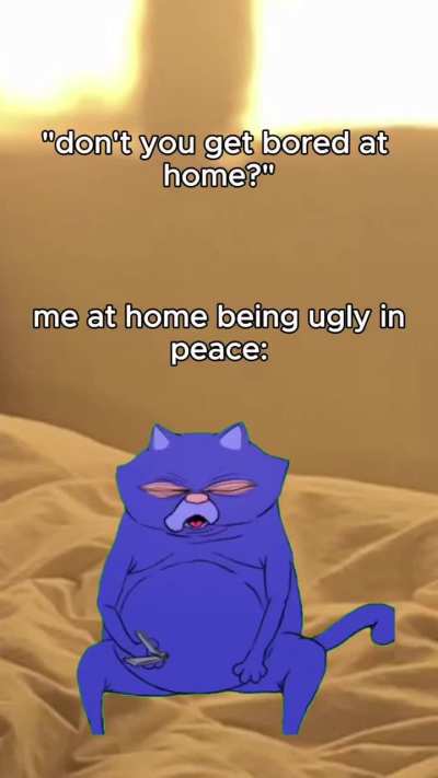 Home : 💤💤