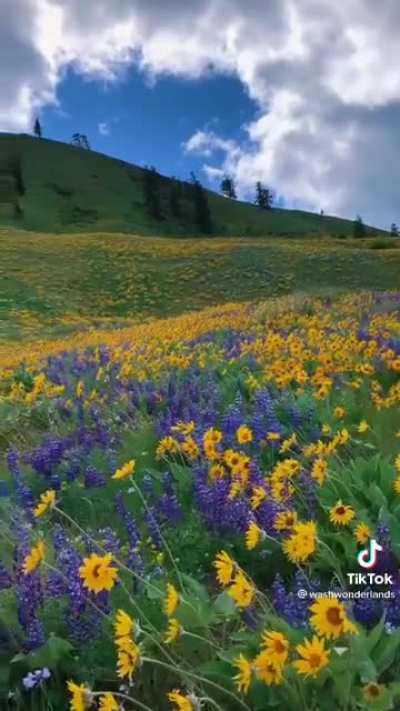 Where is this place?