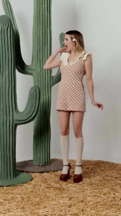 The model