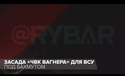 Ukraine troops ambushed