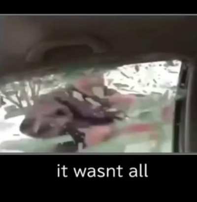 It wasn’t all