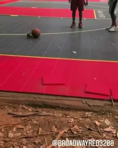 Atlanta Hawks&rsquo; General Manager Travis &ldquo;TITS&rdquo; Schlenk has signed Squirr Chipdunkerson to a 5 Year, $420M contract.