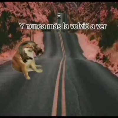 Yo no estoy llorando, vos estas llorando &amp;gt;:,(
