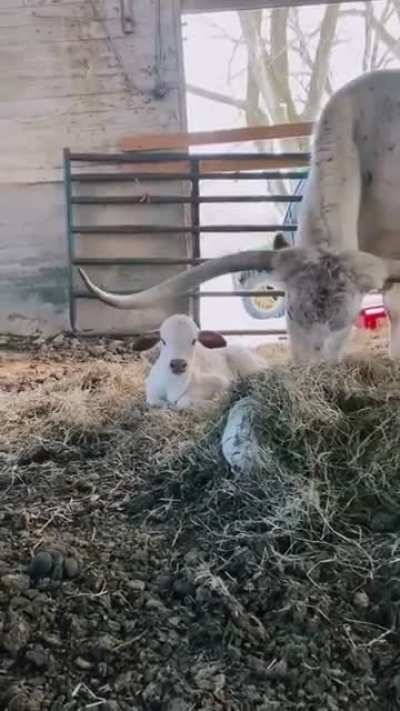 Mind your head 🤣