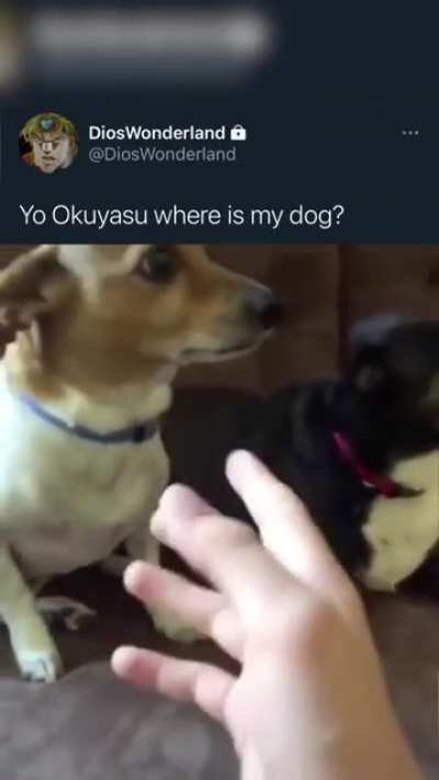 Ğ