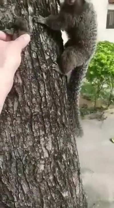 Be kind to all creatures