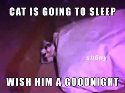 wish him a good sleep
