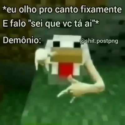 ola amigo