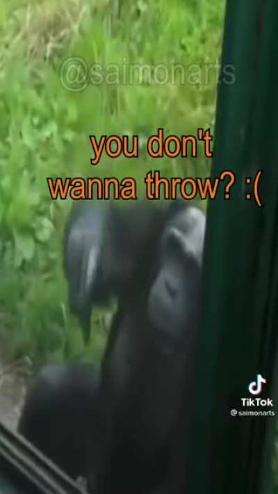 Monke