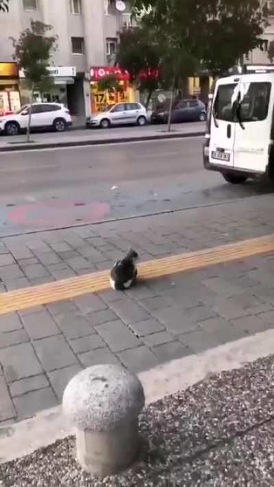 Fuck your legs