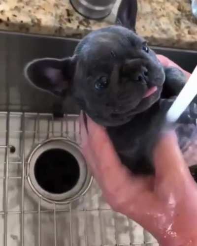 Doing the dishes