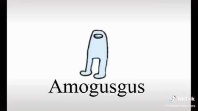 u SUS