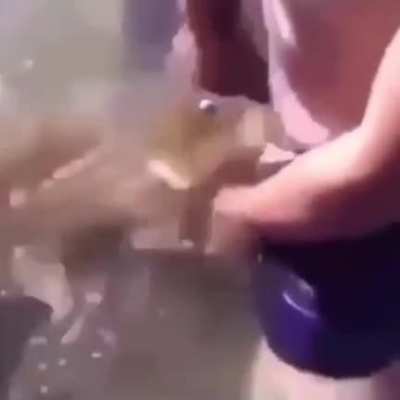 Cursed_fish