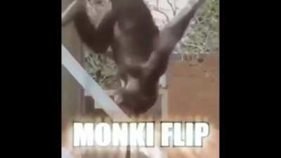 Makako truco