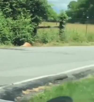 Is this a funeral !?