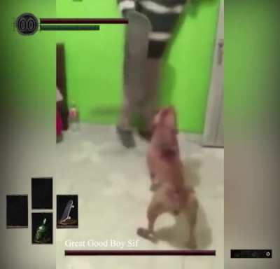 Great Good Boy Sif