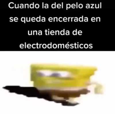 Zorra